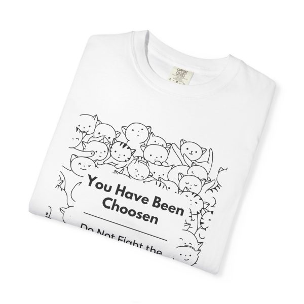 Do Not Fight the Cat Distribution System - Image 2